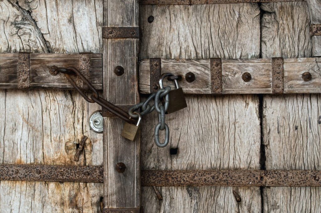 david clode cugnfbxxd1e unsplash 1